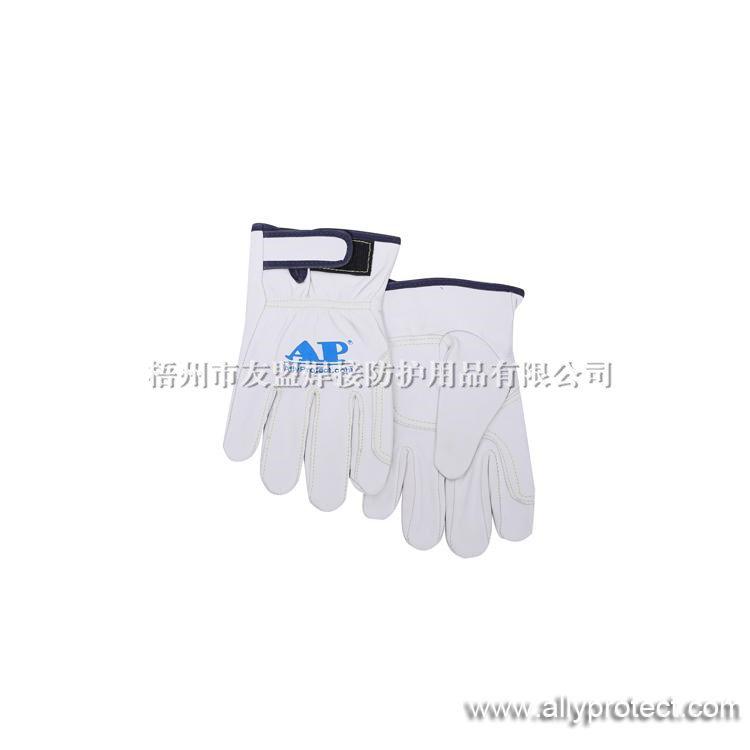 AP-1189 高檔羊青皮手套